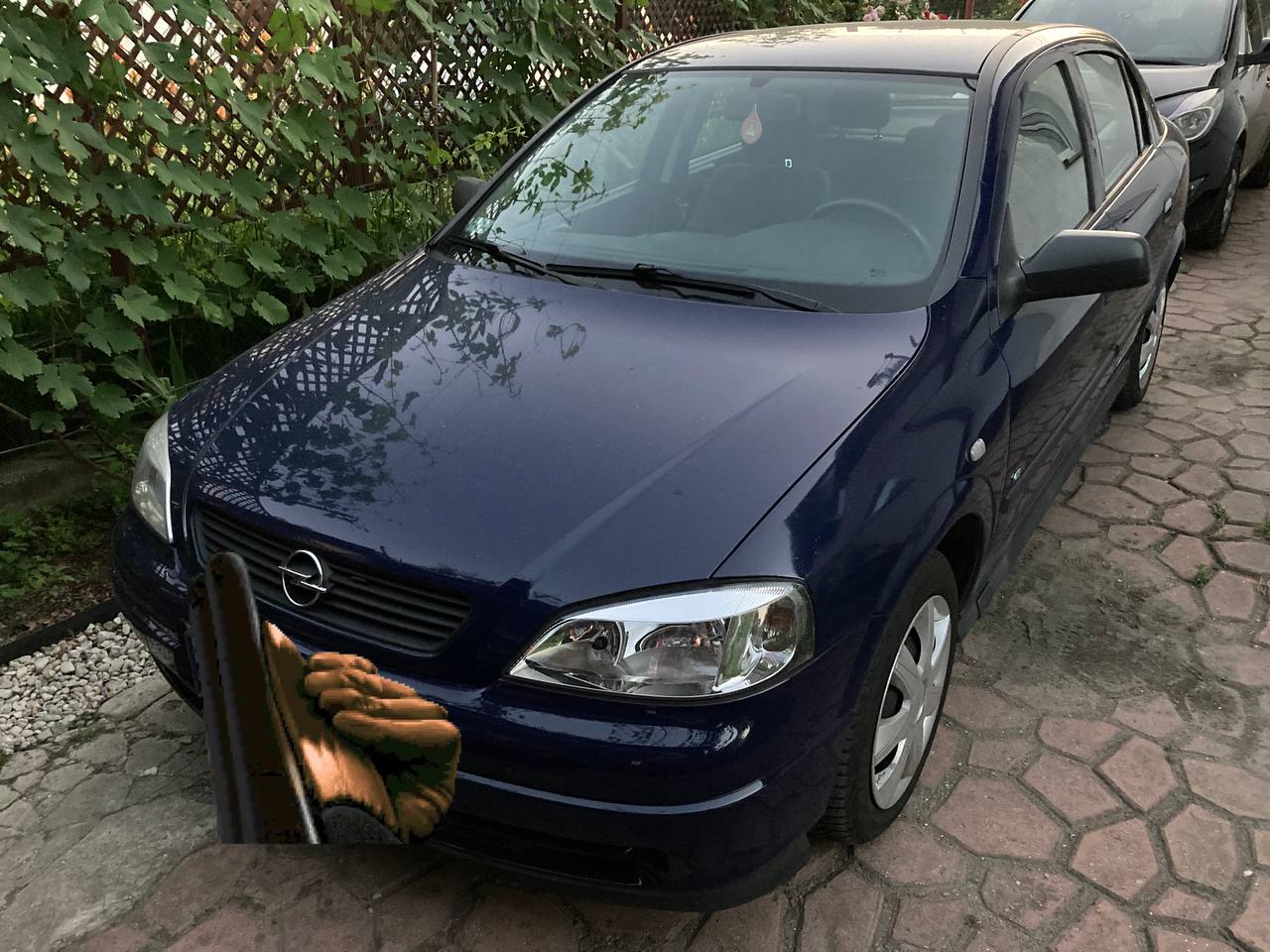 Kolejne zdjęcie opelka