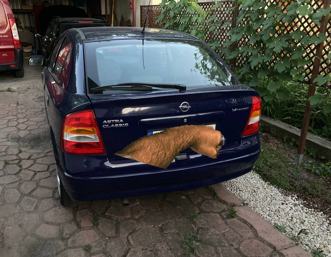 A to mój opelek i moje zdjęcie