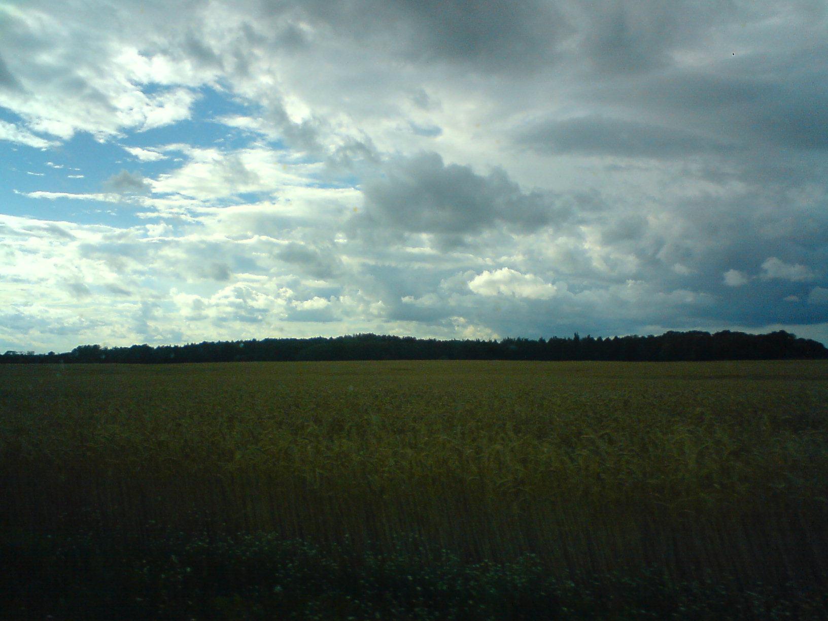 Jakieś pole