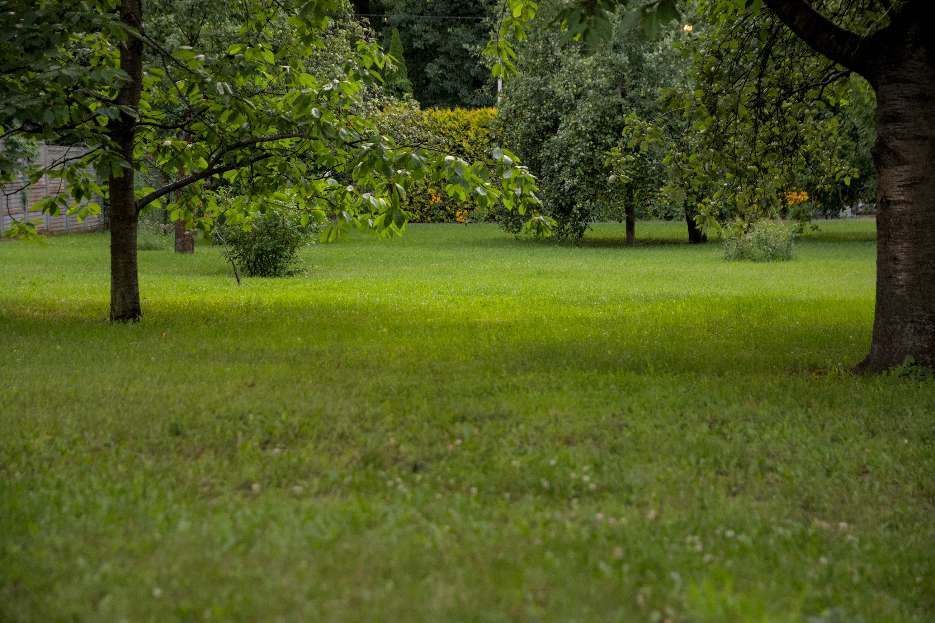 Nikon D7100.