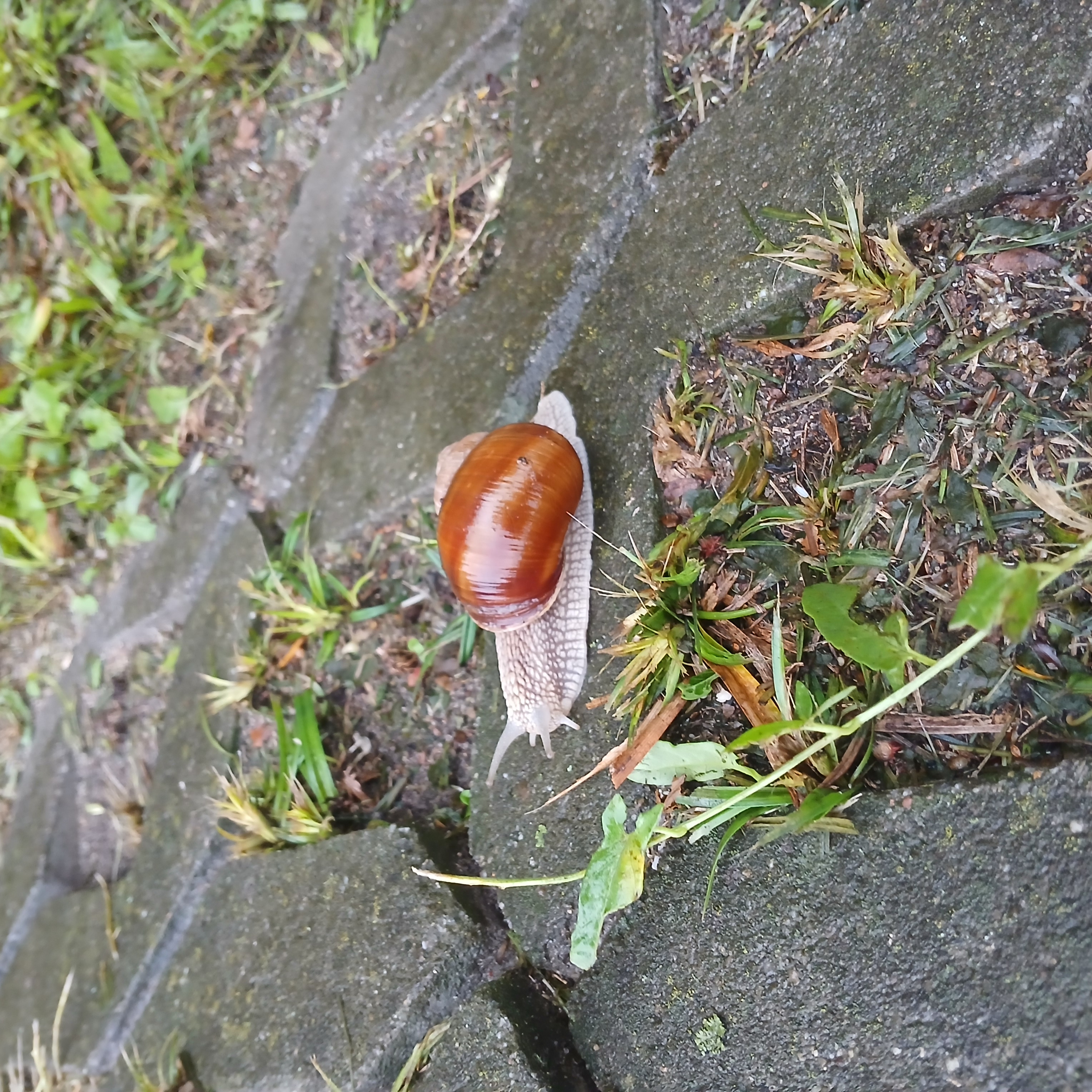20250728_193627.jpg